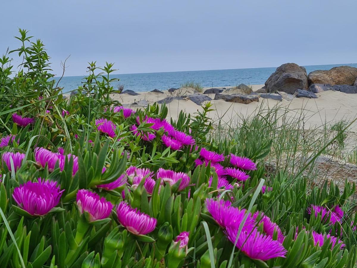 Le Grau-dʼAgde Camping Les Sables D'Or Cap D'Agde מראה חיצוני תמונה